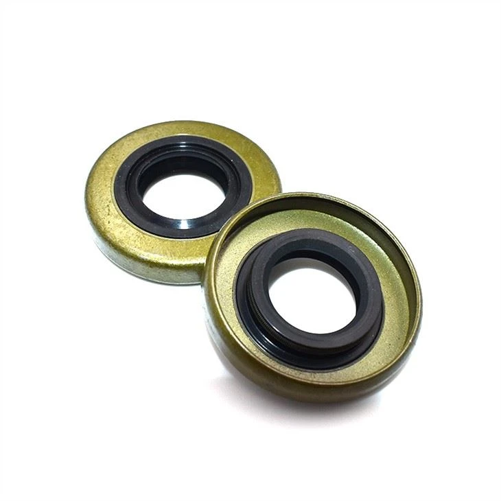 NBR Buna Rubber/Carbon Steel TB Oil Seal