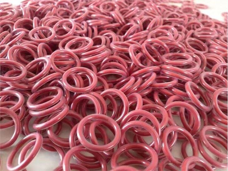 encapsulated-o-rings (16)